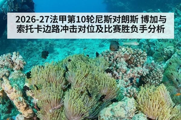 2026-27法甲第10轮尼斯对朗斯 博加与索托卡边路冲击对位及比赛胜负手分析